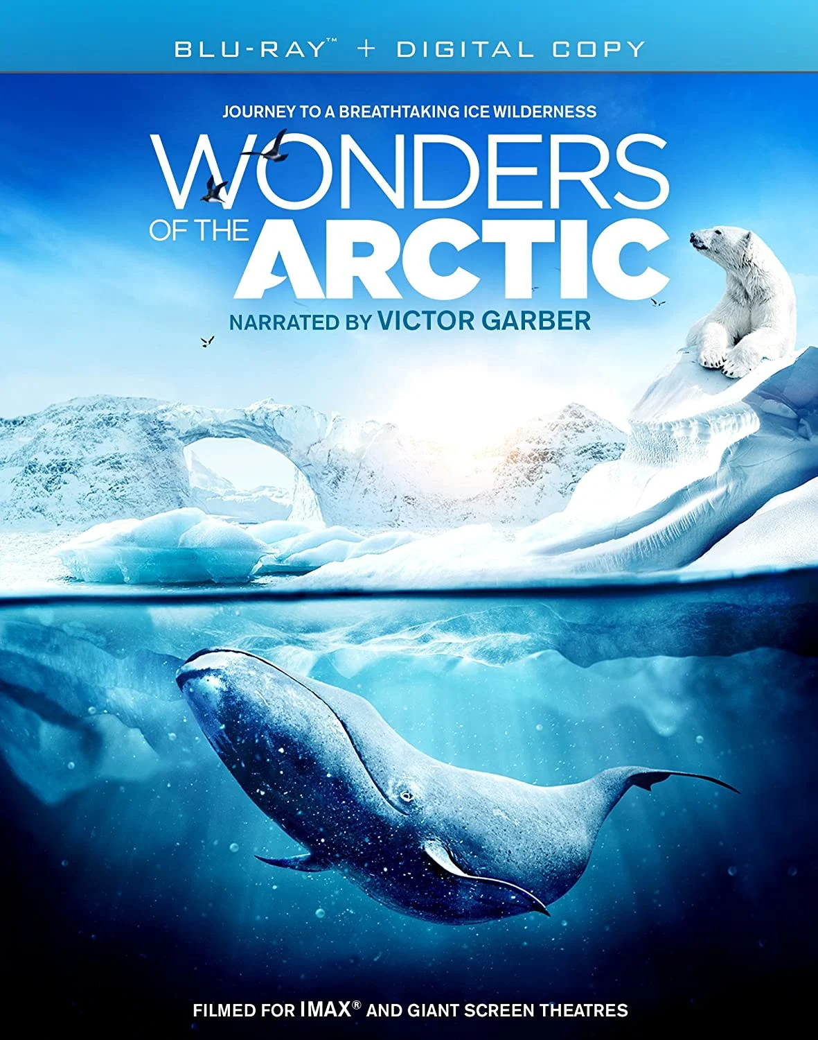 Wonders of the Arctic (Blu-ray) on MovieShack
