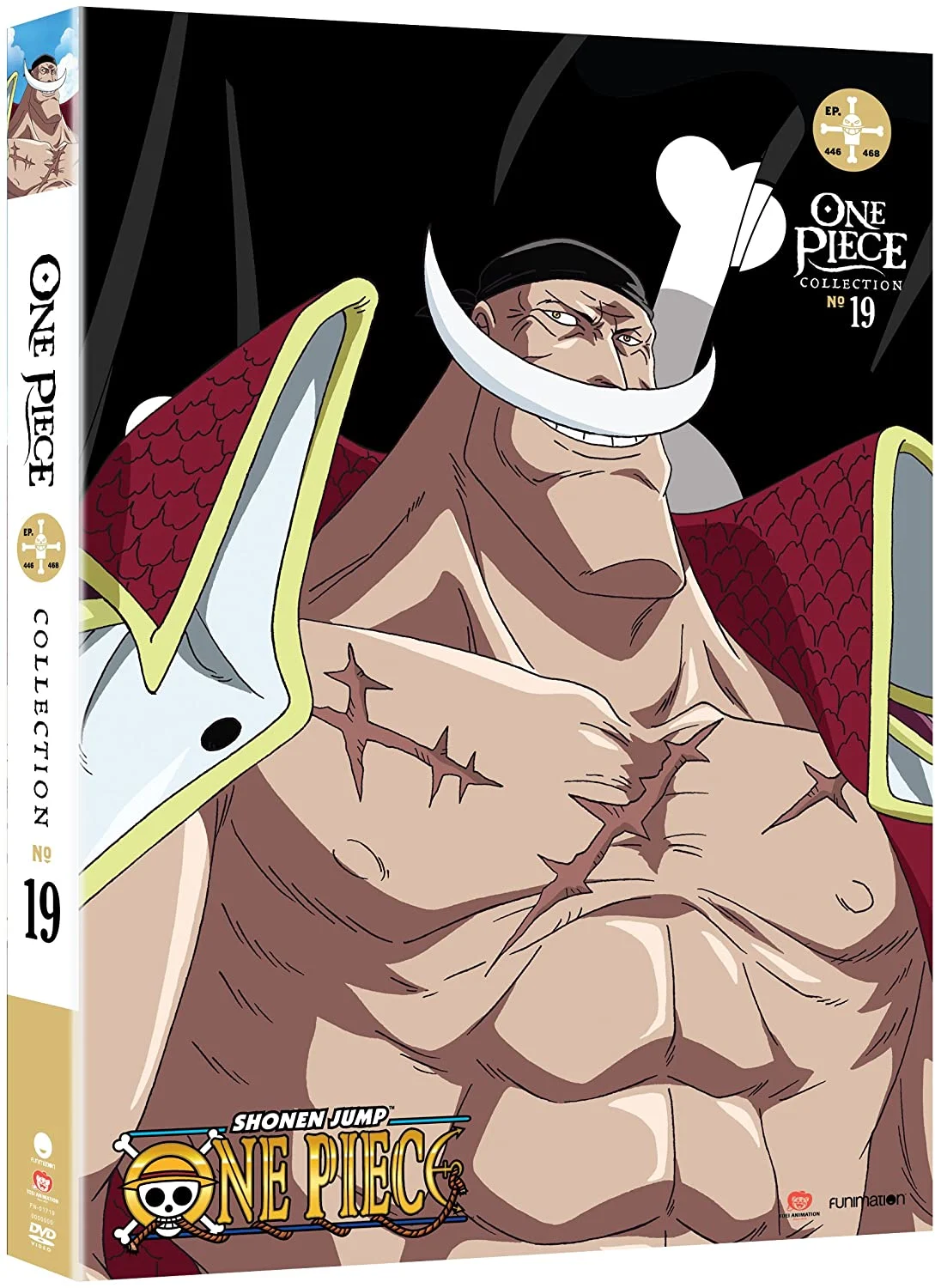 One Piece: Collection 19 (DVD)