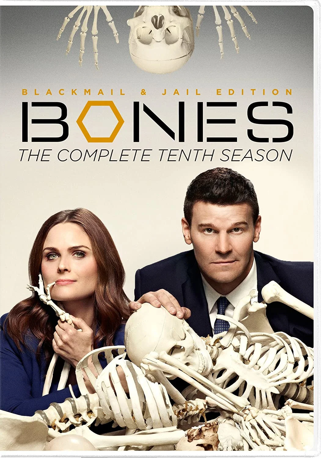 Bones: S10 (DVD) on MovieShack