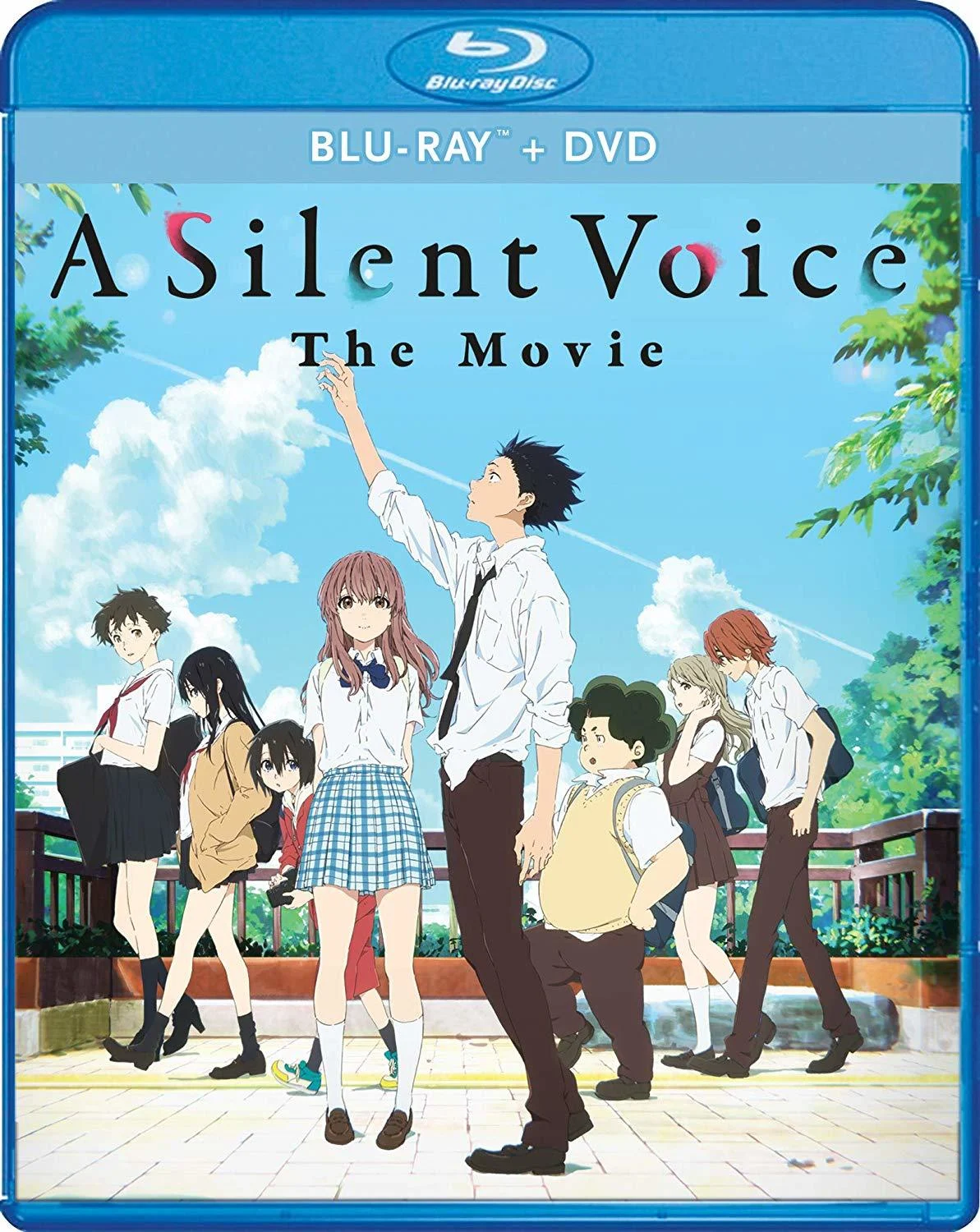 Silent Voice, A (Blu-ray/DVD Combo)