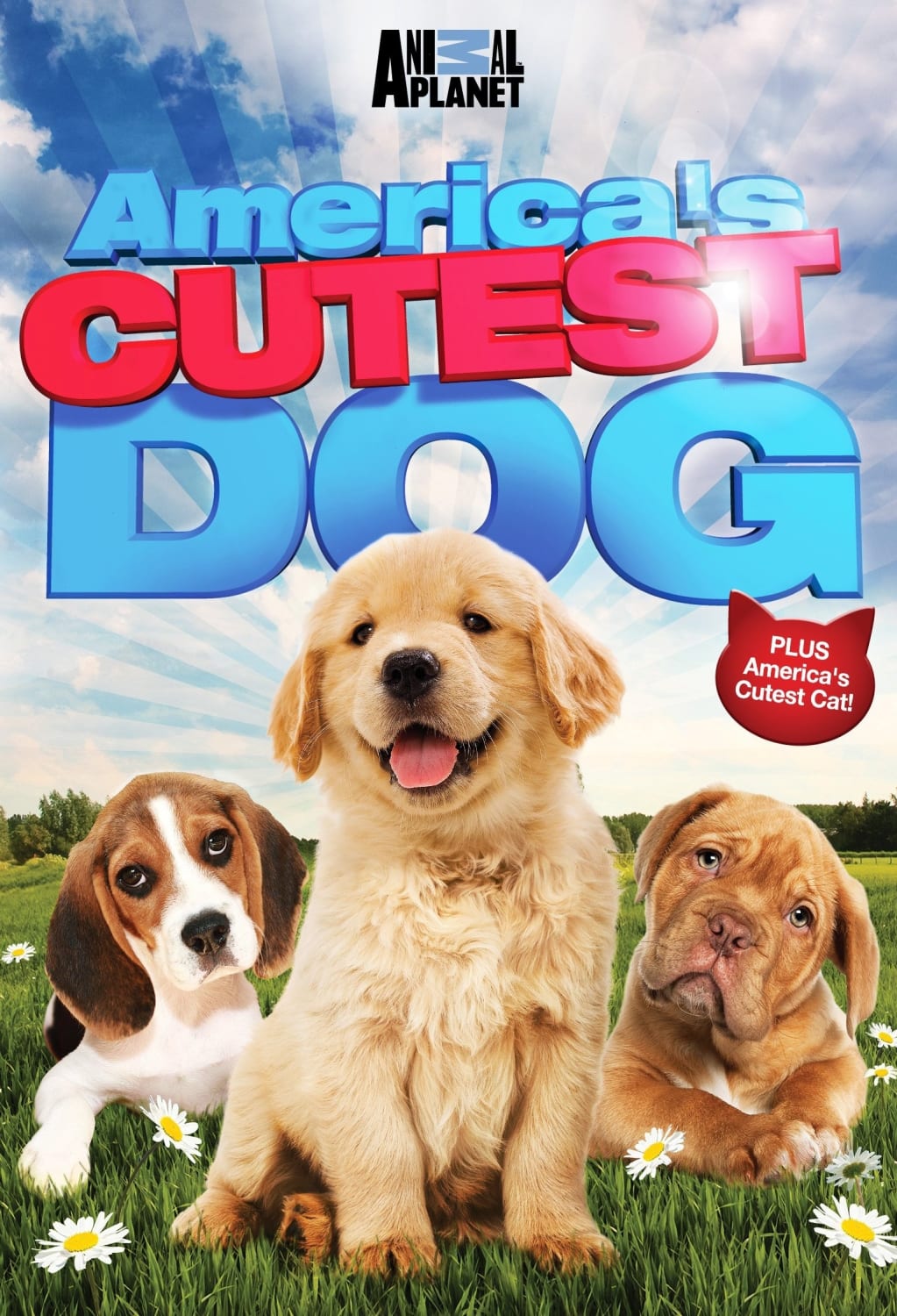America’s Cutest Dog (DVD) on MovieShack