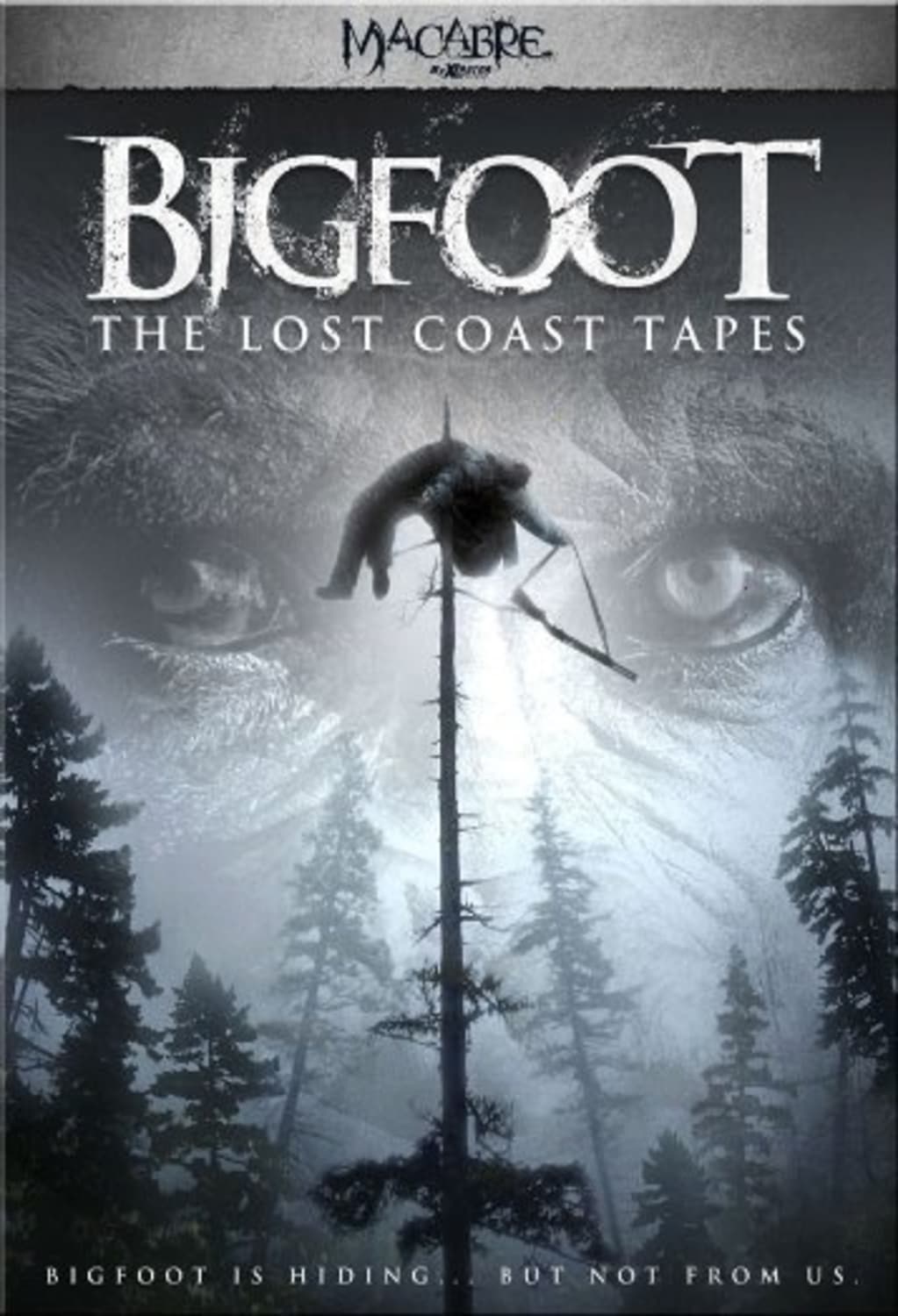 Bigfoot: The Lost Coast Tapes (DVD) on MovieShack