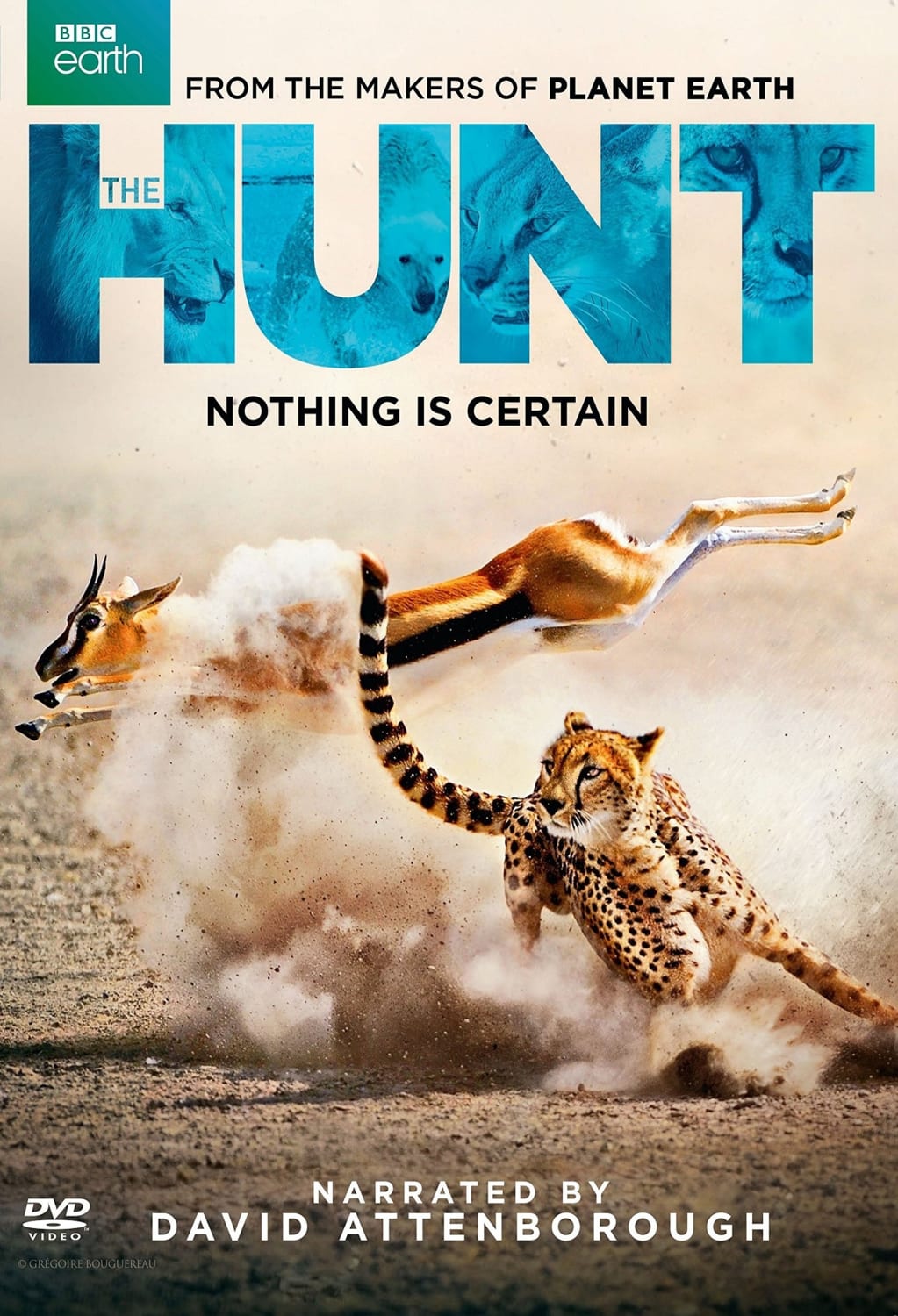 The Hunt (DVD) on MovieShack