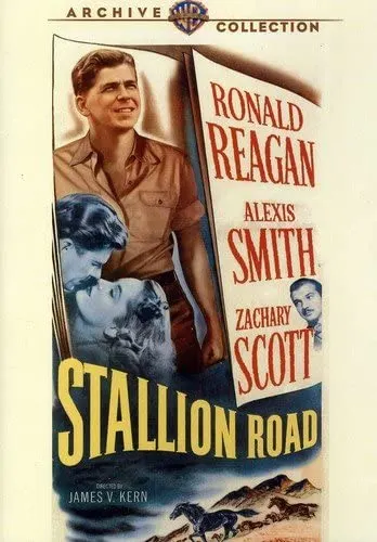 Stallion Road (DVD) (MOD) on MovieShack