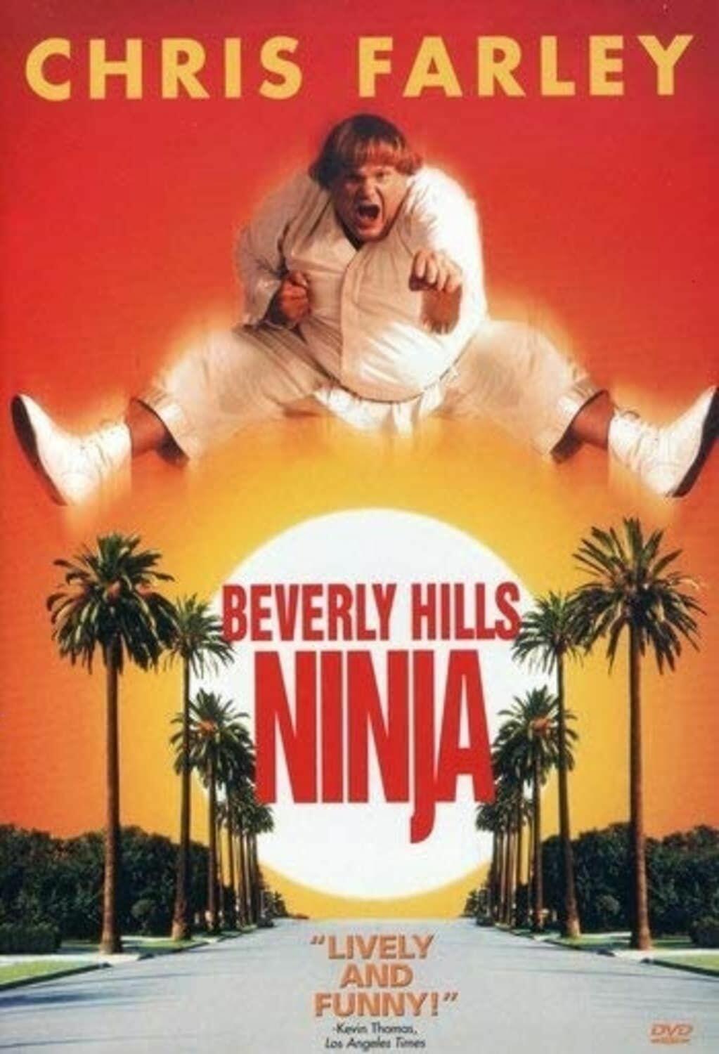 Beverly Hills Ninja (DVD) on MovieShack