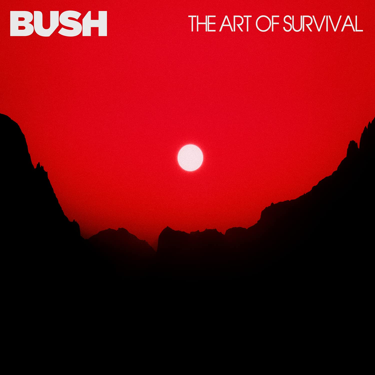 The Art Of Survival (Vinyl)
