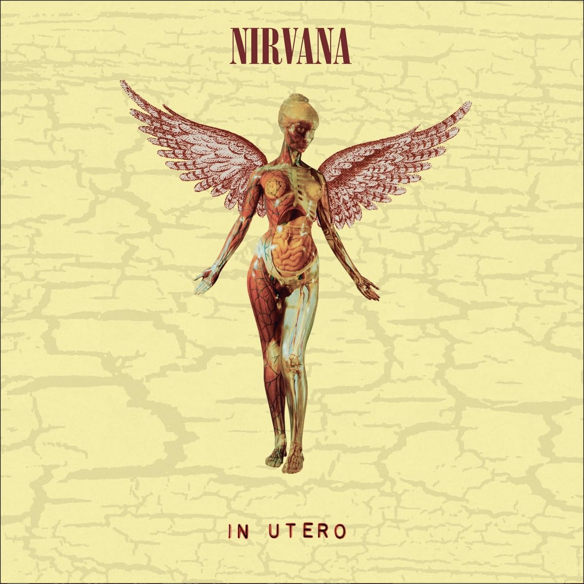 In Utero (30th Anniversary) (Vinyl)